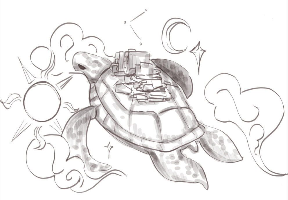 The Flying Turtle